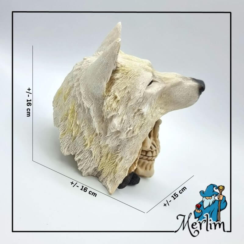 Caveira (crânio) em resina com cabeça de Lobo branco medidas