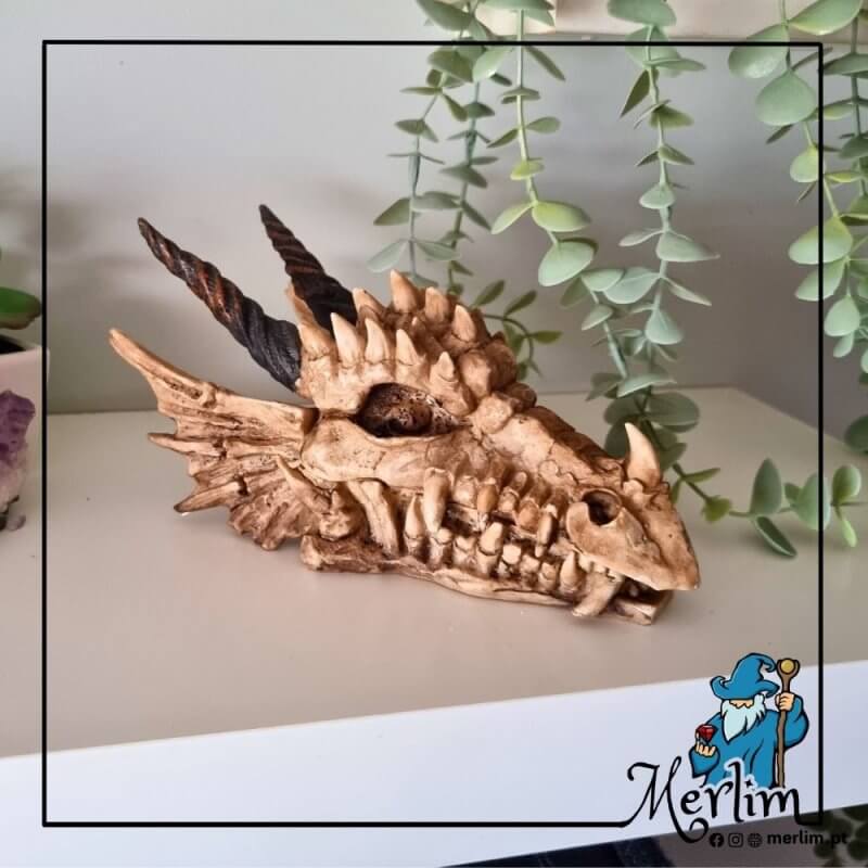 Caixa de uma Caveira decorativa cabeça dragão em resina