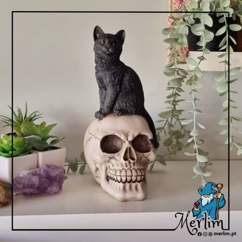 Caveira ou crânio com gato negro em resina decorativa