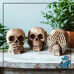 Caveira de Resina - Não Falo - Não Ouço - Não Vejo capa